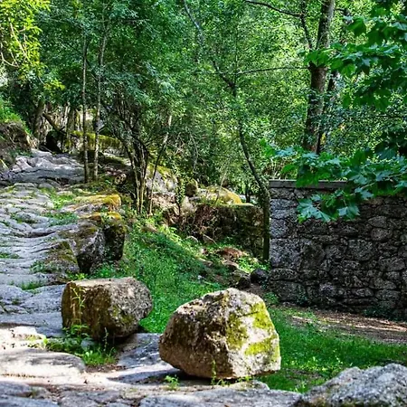 Dalpendre - Turismo Em Espaco Rural 度假居