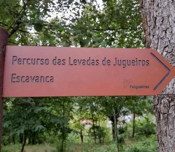 Dalpendre - Turismo Em Espaco Rural *