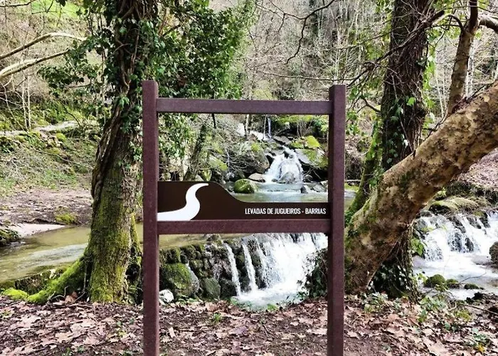 Dalpendre - Turismo Em Espaco Rural Felgueiras