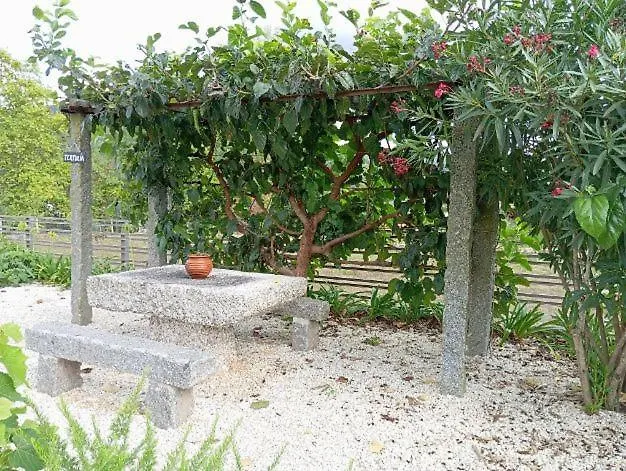 Dalpendre - Turismo Em Espaco Rural Ferienhaus Felgueiras